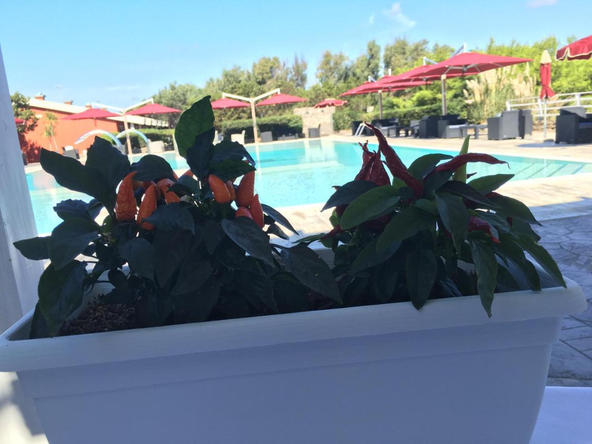 Hotel Club Esse Sporting à Stintino Extérieur photo